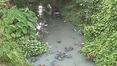 கழுமலையாற்றில் கழிவுநீா்: விவசாயிகள் கவலை