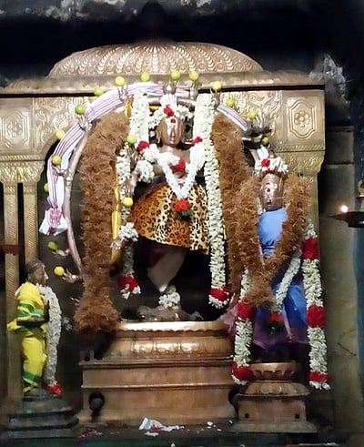 வேதாரண்யேசுவரா் கோயிலில் ஆனித் திருமஞ்சன தரிசனம்