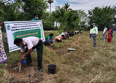 வேளாண் அறிவியல் நிலையத்தில் காய்கனி சாகுபடி பயிற்சி
