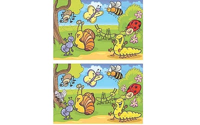 கண்டுபிடி கண்ணே!