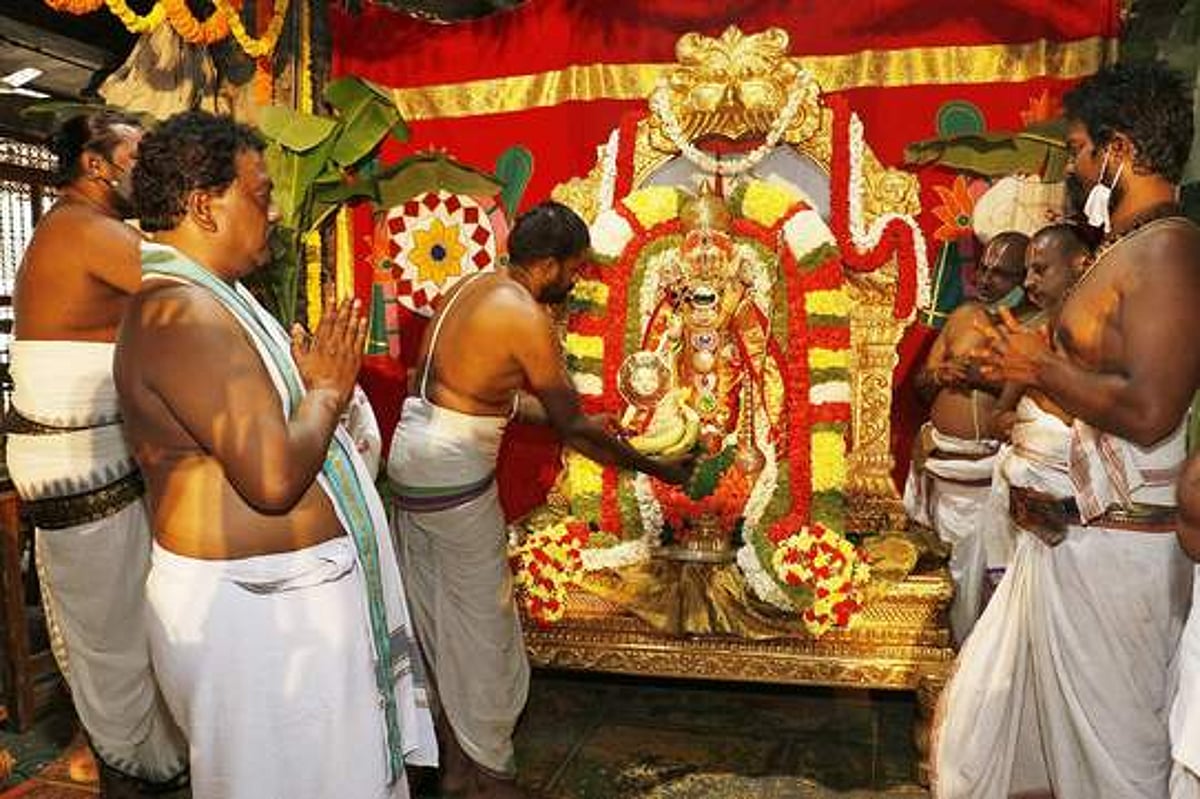 சீனிவாசமங்காபுரத்தில் பாா்வேட்டை உற்சவம்