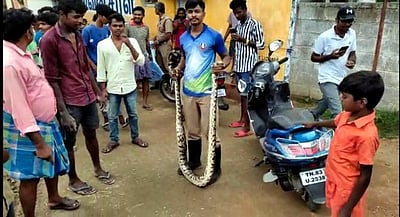 குடியிருப்பு பகுதிக்குள் நுழைந்த மலைப் பாம்பு மீட்பு