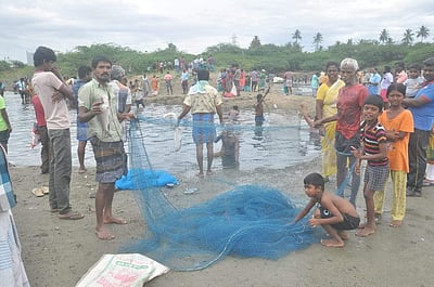 திண்டுக்கல்: நல்லாம்பட்டி ராசா குளத்தில் மீன்பிடித் திருவிழா