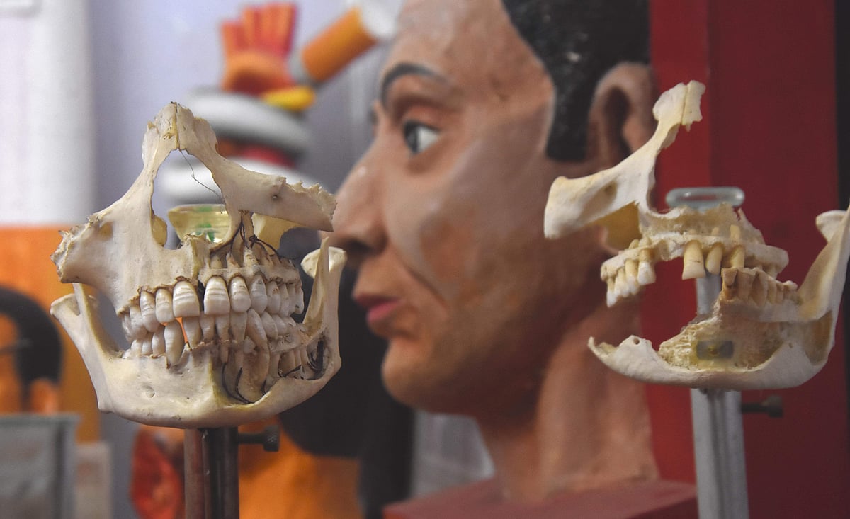 பல் மருத்துவம்: வினோத  உண்மைகள்