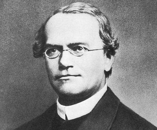 அறிவியல் ஆயிரம்: மரபியல் கோட்பாட்டின் பிதாமகன் கிரிகோர் மெண்டல்