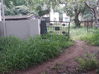 புதா்மண்டி காணப்படும் அரசுப் பள்ளி வளாகம்