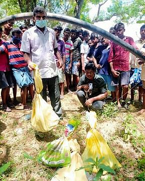 கிணற்றில் பிடிபட்ட 8 பாம்புகள்!