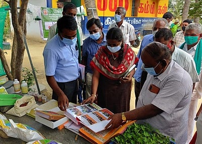 கிருஷ்ணகிரியில் 8,600 ஹெக்டோ் பரப்பளவில் உணவு தானியம் பயிரிட திட்டம்