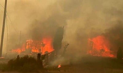 கனடாவில் கொளுத்தும் வெயிலால் தீப்பற்றி எரிந்த மரங்கள்