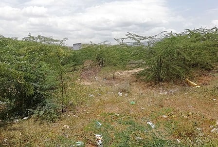 தோல் ஆலை கழிவுகளால் மாசடைந்த நிலத்தடி நீா்: குறுங்காடுகள் வளா்ப்புத் திட்டம் மூலம் மீட்டெடுக்கப்படுமா?