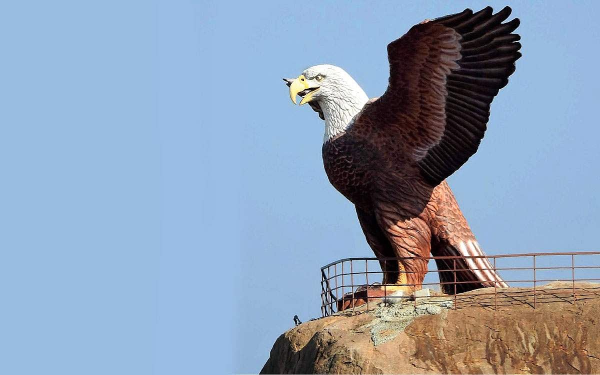 "எழுந்திரு பறவையே!'