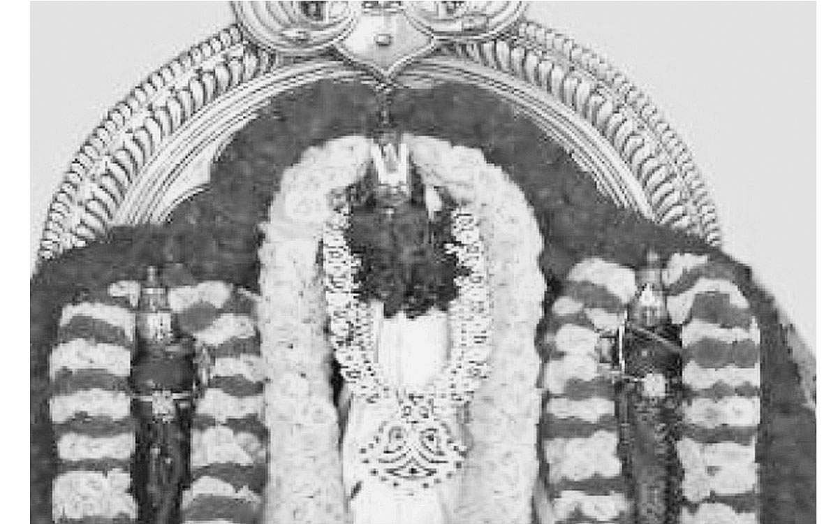 பசு கண்டெடுத்த பெருமாள்!