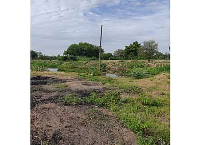 பண்ருட்டி அருகே ஆற்றைக் கடந்து இடுகாட்டுக்குச் செல்லும் அவல நிலை
