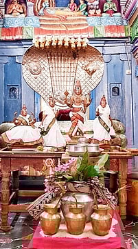 சிறுபுலியூா் பெருமாள் கோயிலில் ஜேஷ்டாபிஷேகம்