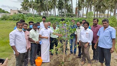 மரக்கன்றுகள் நடும் விழா