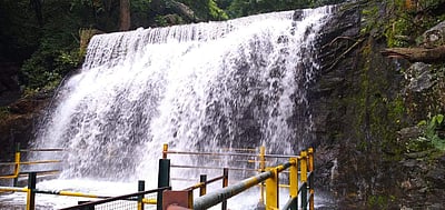 சுருளி அருவியில் குளிக்கத் தடை: செயற்கை அருவி உருவாக்க முடிவு