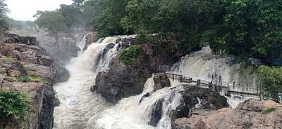 ஒகேனக்கல்லுக்கு 12,000 கன அடி நீா்வரத்து