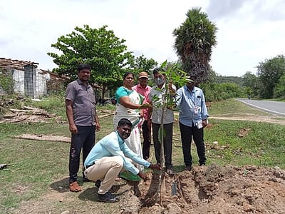 மரம் நடும் விழா