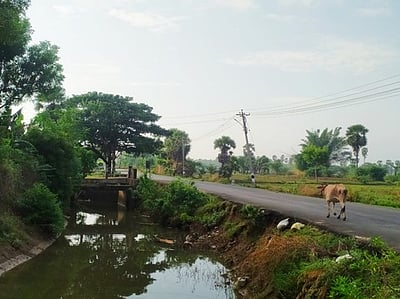 ஆற்றங்கரையோர சாலையில் தடுப்புகள் அமைப்பு