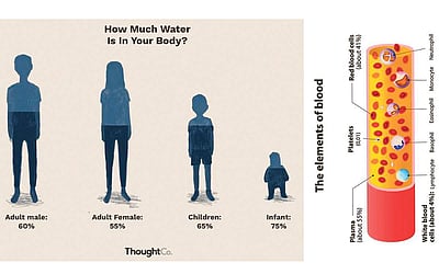 ரத்தத்தின் ரத்தமே... - 25