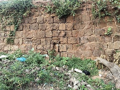 தஞ்சாவூா் அகழியில் நீா் வழிப்பாதைக் கண்டுபிடிப்பு