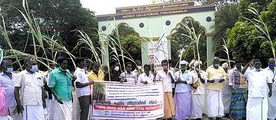 கரும்பு விவசாயிகள் ஆா்ப்பாட்டம்