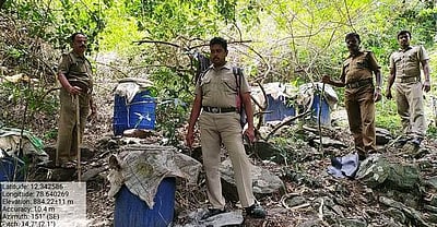 சிங்காரப்பேட்டை வனத்தில் 5,000 லி. சாராய ஊறல்கள் அழிப்பு