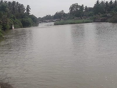 கோரையாற்றில் அதிக தண்ணீர்: மக்களுக்கு எச்சரிக்கை