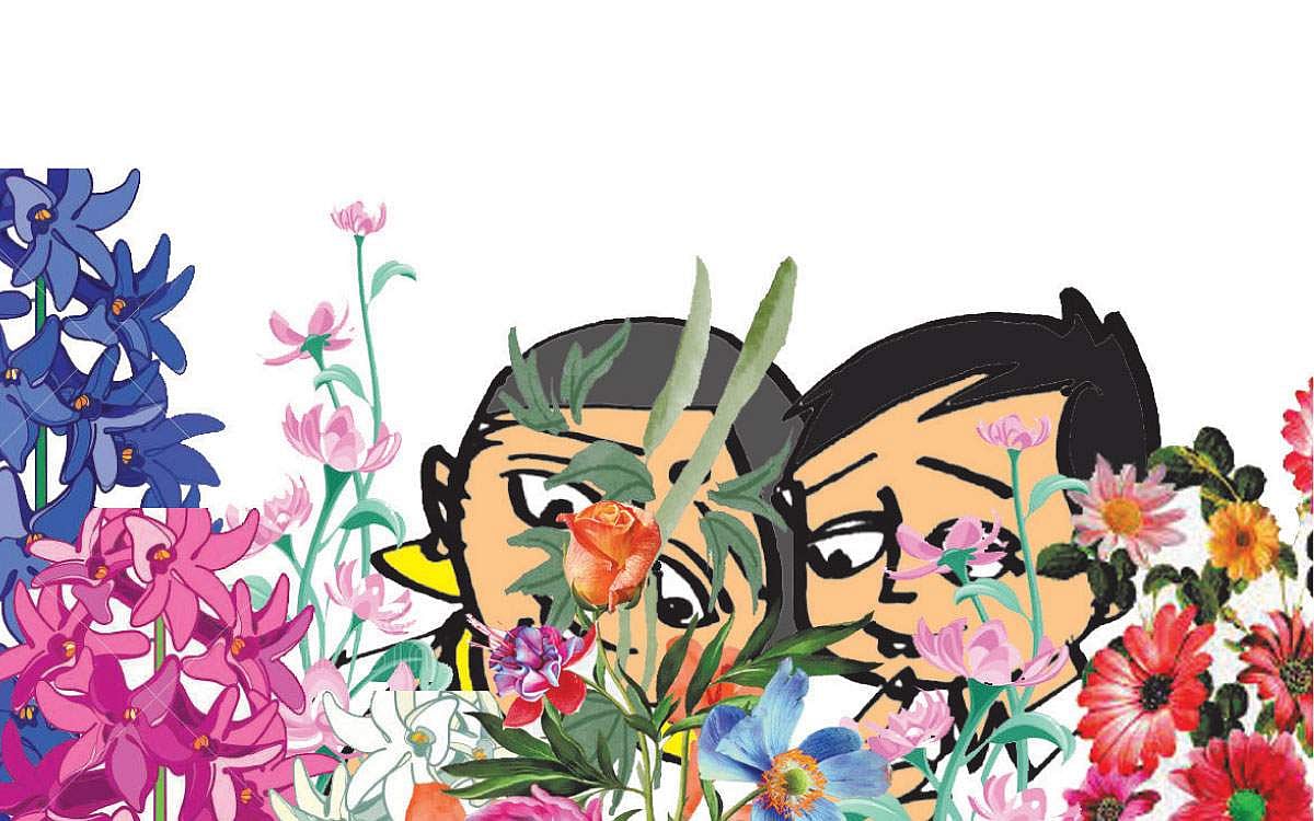 எழிற்கொடைகள்!