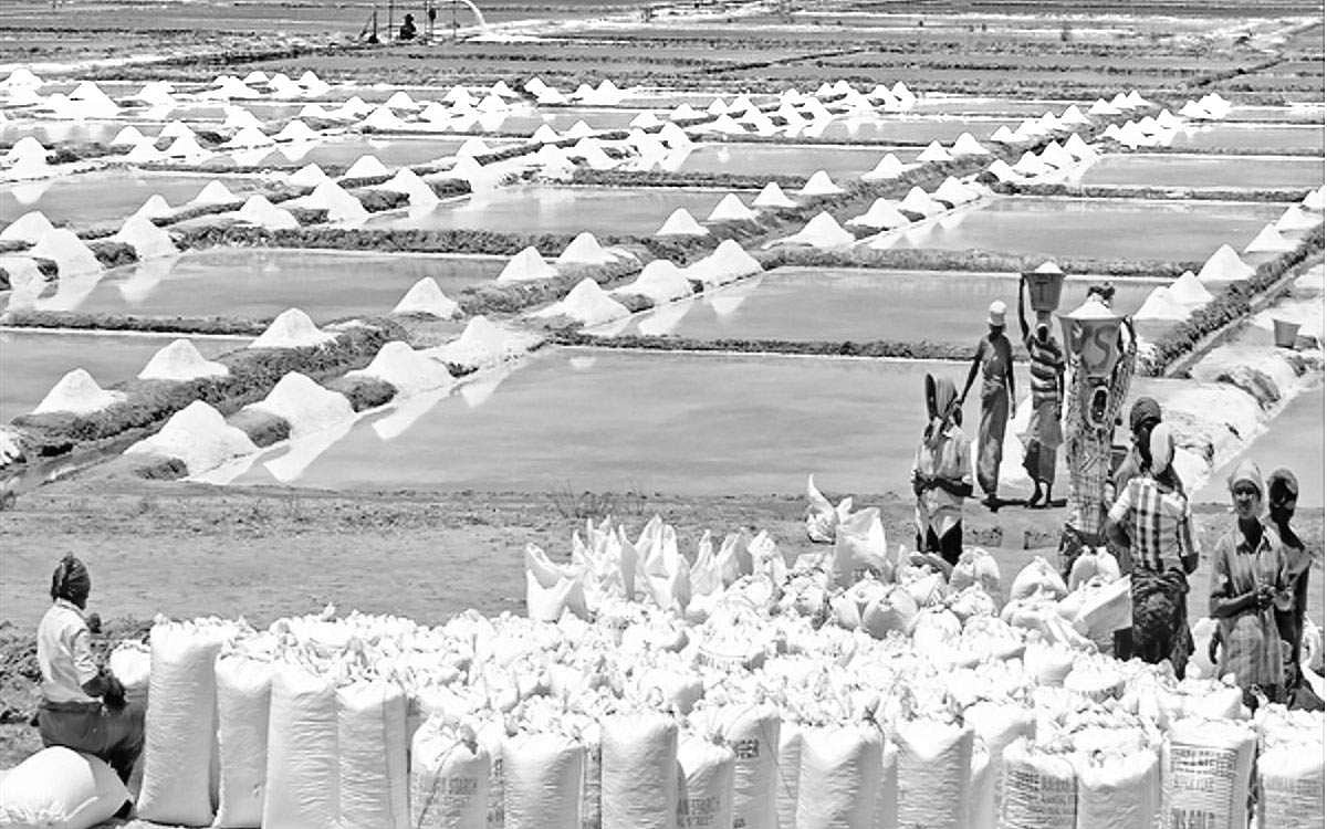 வேலை... வேலை... வேலை...