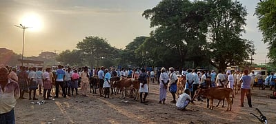 புதுச்சேரி அருகே 2 மாதங்களுக்குப் பிறகு கூடிய வாரச்சந்தை