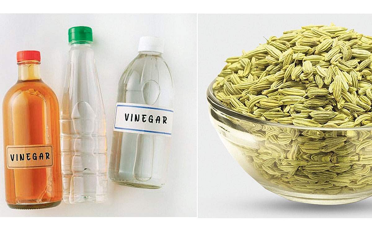 சோம்பின் நன்மைகள்!