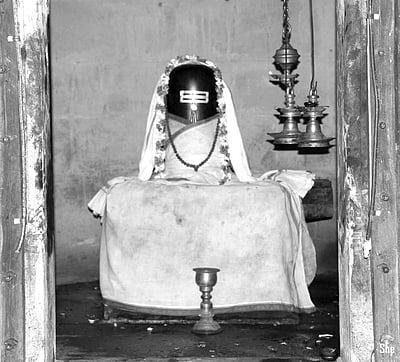 மலராக மாறிய அஸ்தி! 