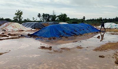 கொள்முதல் நிலையங்களில் தொடரும் அவலம்  மழை நீரில் நனைந்து சேதமடையும் நெல் குவியல்கள்