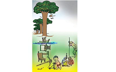 மழை தரும் குடைகள்!