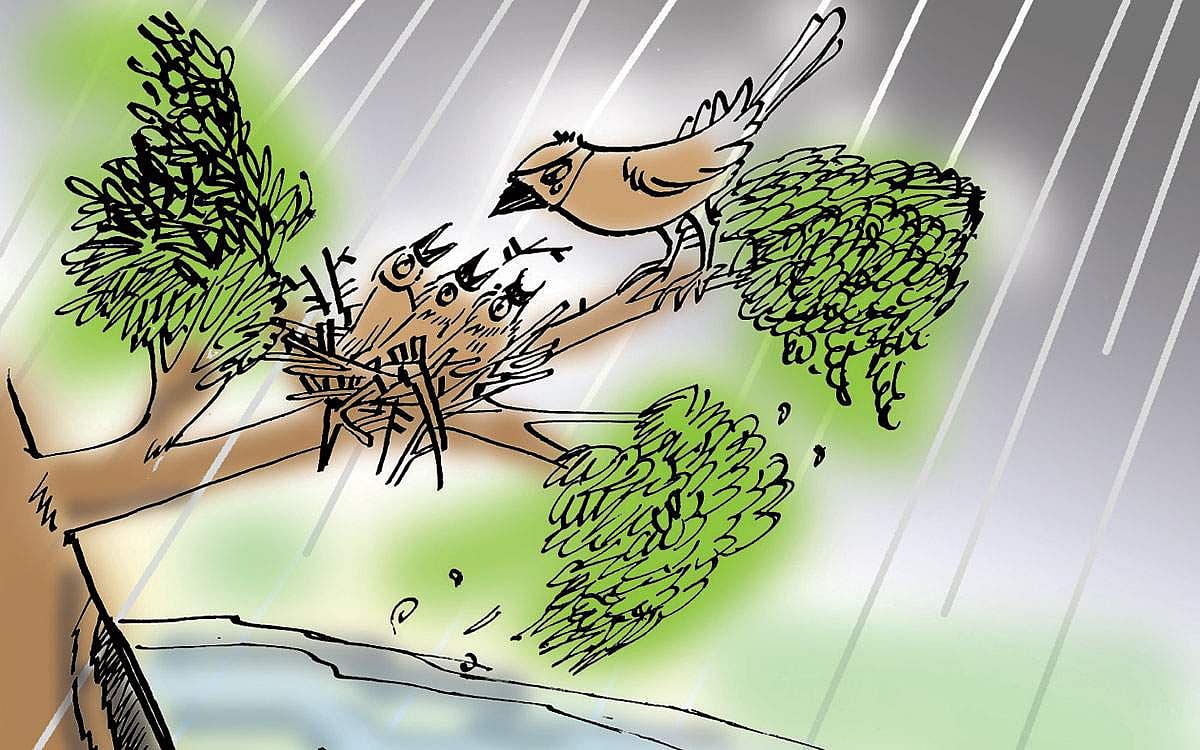 தன்னம்பிக்கை!