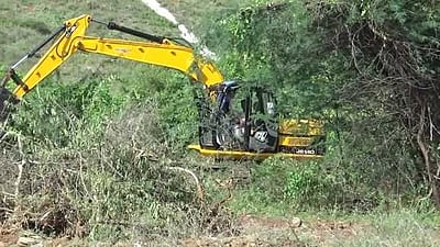 பவானிசாகா் அணைப் பூங்கா கரை முட்புதா்களை அகற்றும் பணி தீவிரம்