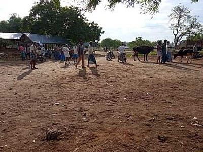 வெறிச்சோடிய புன்செய் புளியம்பட்டி கால்நடைச் சந்தை