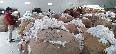 செம்பனார்கோவில் ஒழுங்குமுறை விற்பனை கூடத்தில் பருத்தி விலை உச்சம்