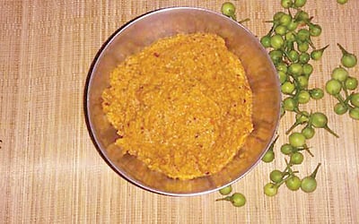 சுண்டைக்காய்  துவையல் 