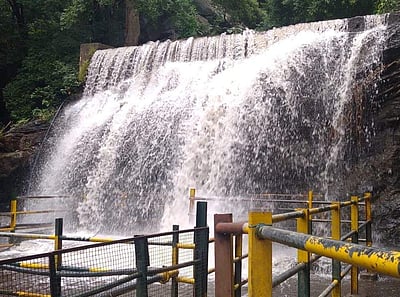 தடையை மீறி சுருளி அருவிக்கு வந்தால் நடவடிக்கை:  மாவட்ட ஆட்சியர் எச்சரிக்கை