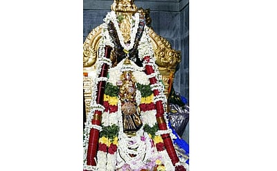 மானாமதுரை ஸ்ரீ ஆனந்தவல்லி அம்மன் கோயிலில் ஆடிப்பூர வழிபாடு
