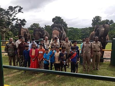 முதுமலை புலிகள் காப்பகத்தில் சர்வதேச யானைகள் தினம்