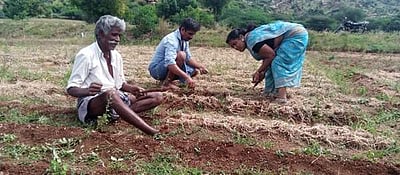 மழை பெய்ததால் அழுகிய நிலையில் வெங்காயம்: விவசாயிகள் கவலை