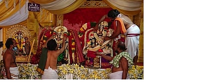 திருவாரூா் தியாகராஜா் கோயிலில் சுந்தரா் - பரவை நாச்சியாா் திருக்கல்யாணம்