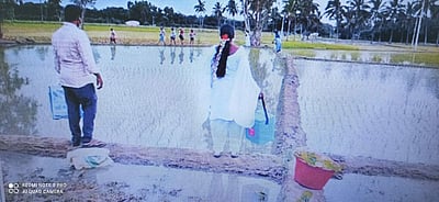 விளை நிலங்களுக்கே நேரில் சென்று கரோனா தடுப்பூசி