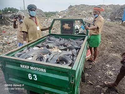 இந்தியாவில் தடை செய்யப்பட்ட ஆப்ரிக்கன் கெளுத்தி மீன் திண்டுக்கல்லில் பறிமுதல்