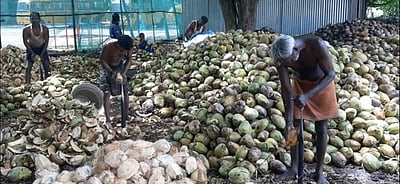 5 மாவட்டங்களில் தொழில் கற்கும் மையங்கள்