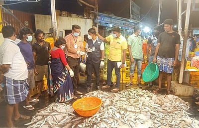 திண்டுக்கல்லில் தடை செய்யப்பட்ட ஆப்ரிக்கன் கெளுத்தி மீன்கள் 500 கிலோ பறிமுதல்