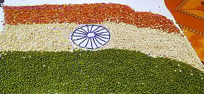 தானியங்களைக் கொண்டு உருவான தேசிய கொடி